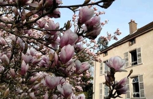 Villersexel Bed & Breakfast | Manoir des Vieilles Vignes
