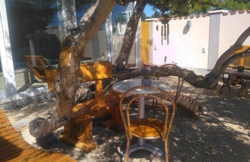 Sucuraj House | Manora guest house Sucuraj