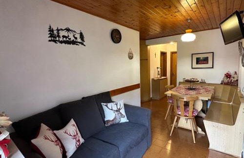 Pie Falcade Apartment | Mansarda nelle dolomiti