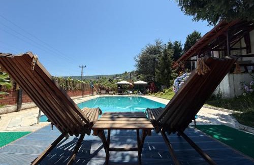 Sapanca Villa | Manzara Ödüllü Büyük Havuzlu Premium Villa