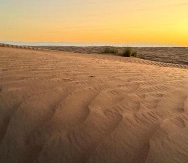 Bidiya Other | Marbella bungalows desert private camp
