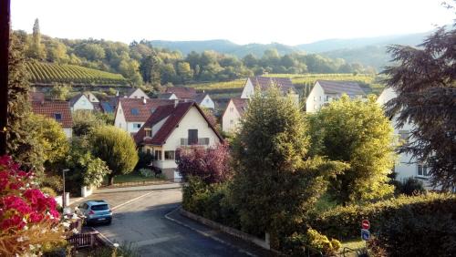 Kaysersberg-Vignoble House | Marcia Donatti - A l'Ombre des Coteaux Sao Paulo