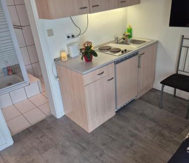 Brinje Apartment | Marga