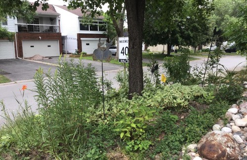 Ottawa Division House | Mariya Studio