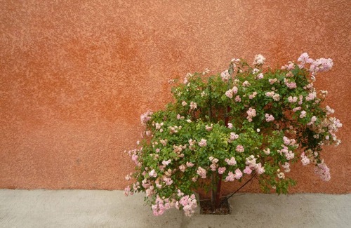 Marseillan House | Marseillan 18th Century 2-Bed House, Sleeps 6