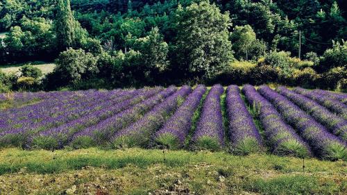 Saint-Ferreol-Trente-Pas House | Mas de Charme - Les Angelettes