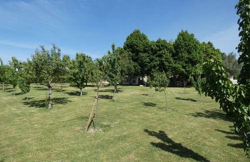 Grillon Cottage | Mas Provençal group gîte and guest rooms