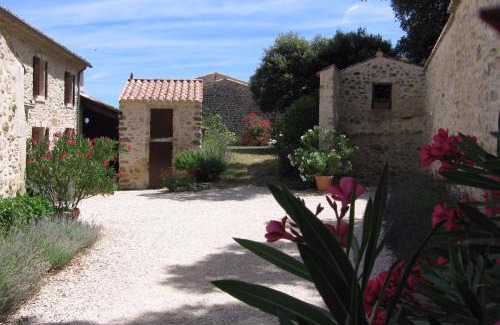 Saint-Restitut Villa | Mas provençal typique