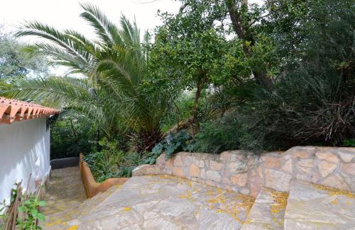 Pals Villa | MAS TOMASI 525 A