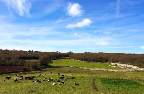 Martina Franca Other | Masseria Cappella