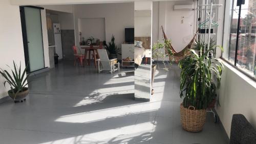Tropical Lowlands Apartment | Matony
