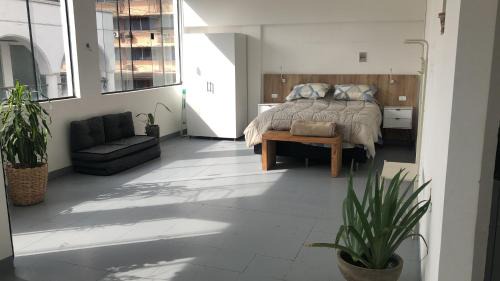 Tropical Lowlands Apartment | Matony