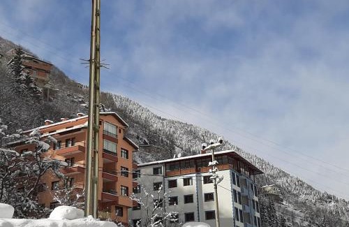 Caykara Apartment | MAVİ KÖŞK UZUNGÖL