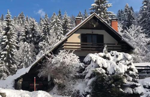 Kranjska Gora Villa | MaxDan Lodge
