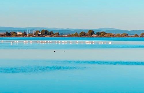 Marseillan House | Mazet NiMiSa