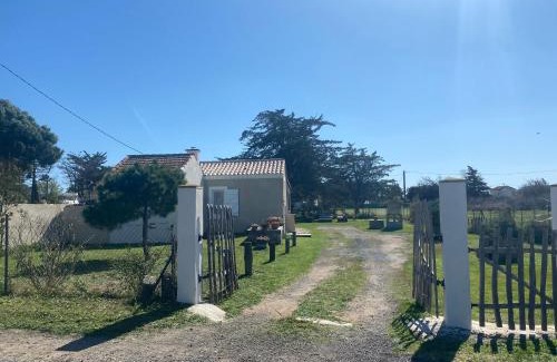 Marseillan House | Mazet NiMiSa