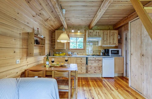 Les Tines Apartment | Mazot Mer de Glace, Chamonix, France