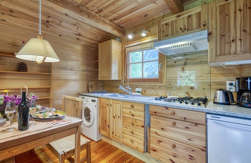 Les Tines Apartment | Mazot Mer de Glace, Chamonix, France