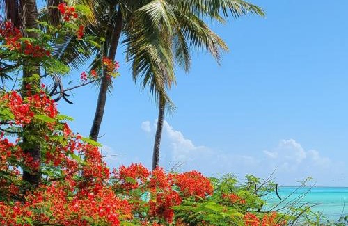 Jambiani Apartment | Mbaliparadise