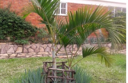 Kampala House | Mberemi House 20 GB Weekly Free Wi-fi