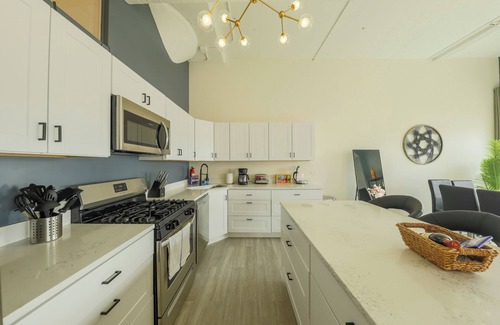 Near South Side Apartment | McCormick 6B/4Ba Luxury Suite for groups of up to 12 guests w/optional parking