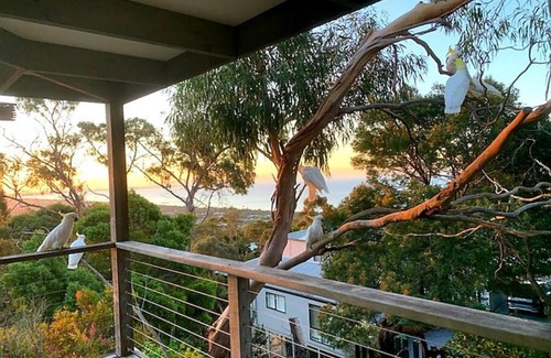 McCrae House | McCrae Hilltop Retreat, Views of Bay & Lighthouse