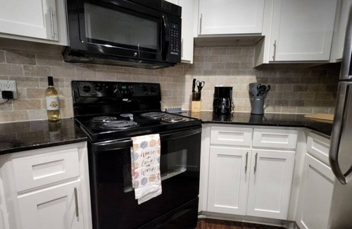 Astrodome Apartment | Med Center Charm: 2BR Haven