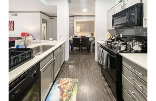 Astrodome Apartment | Medical Center Luxury Furnished & Equipped 2br 2ba