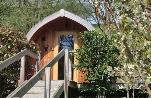 Marshbrook Cabin | mega pod 1 - a mega pod that sleeps 4 guests in 1 bedroom
