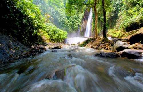 Munduk Resort | Melanting Cottages