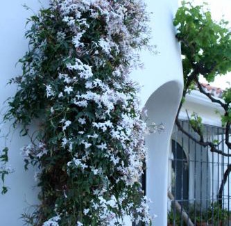 Lecrin Valley Villa | Melegis 4-Bed Villa Sleeps 7 Pool & Garden