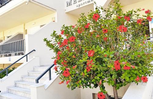 Rethymno Apartment | Melitti Hotel