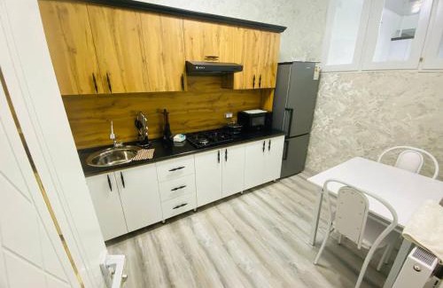 Bukhara Apartment | Mellinium apartment free pick up drop off