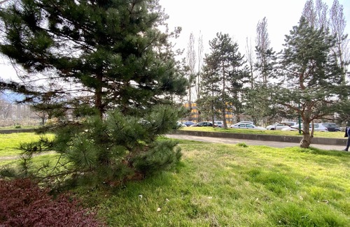 Quartier Villeneuve - Village-Olympique Apartment | Meublé Impeccable à Grenoble sud