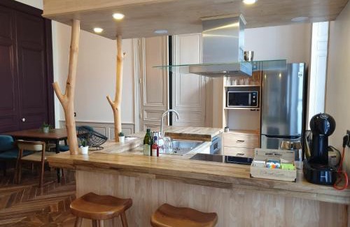 Angouleme Apartment | Meublés de l'Arsenal cœur de ville !