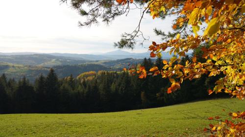 Rabka Villa | Między Wierchami