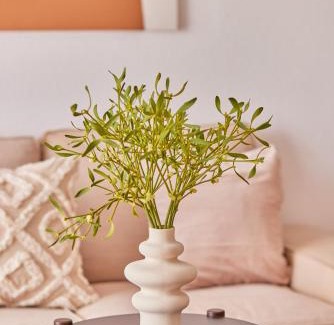 Kaiserslautern Apartment | Michele die Studentenecke