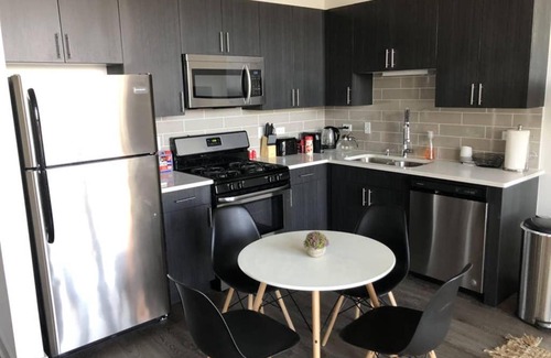 Near South Side Apartment | Michigan avenue modern 2br/2ba with optional Parking 504