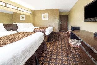 Austin Hotel | Microtel Inn & Suites by Wyndham Austin Airport