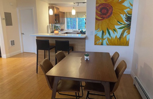 North Star Apartment | Midnight Sun Corporate Loft - near downtown + trails with lots of light!