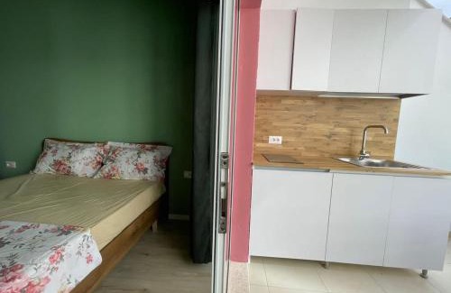 Tushemisht Apartment | Mikpritja Pogradec, Tushemisht 3
