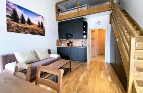 Loucna Pod Klinovcem Apartment | Miky Apartmán Klínovec view