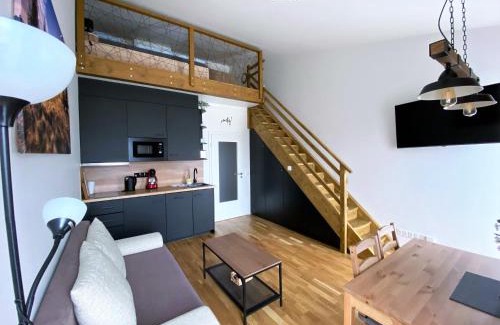 Loucna Pod Klinovcem Apartment | Miky Apartmán Klínovec view