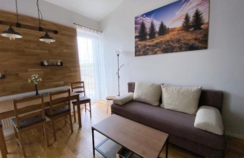 Loucna Pod Klinovcem Apartment | Miky Apartmán Klínovec view