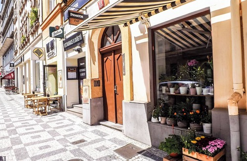 Prague 7 Apartment | Milada