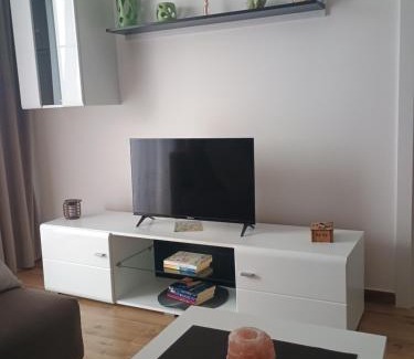 Veliko Gradiste Apartment | Milica