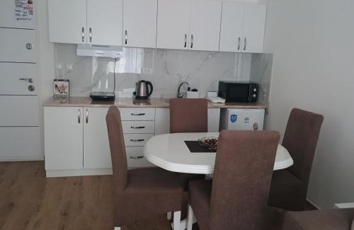 Veliko Gradiste Apartment | Milica