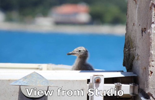 Rovinj Apartment | MILKANA Studio with Sea view