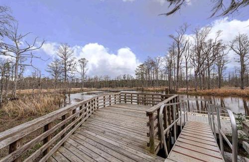Wilmington House | Millcreek Cottage Minutes from Downtown Wilmington