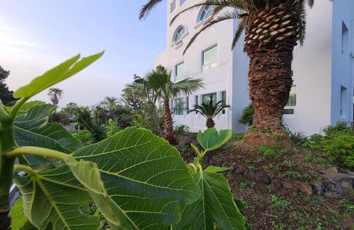 Aewol Hotel | Millenium Hotel